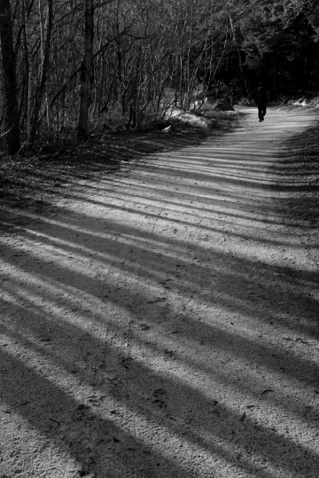 Shadows