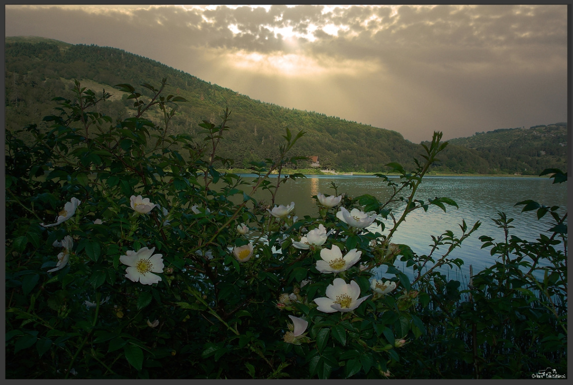 Lake Abant Nature Park