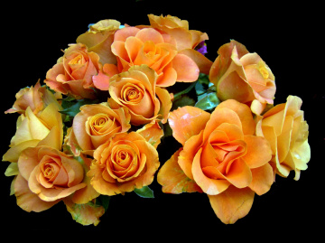 ROSEN