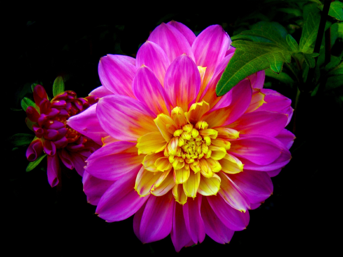 BLÜTEN