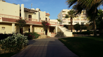 Egypt - Sharm Alsheikh