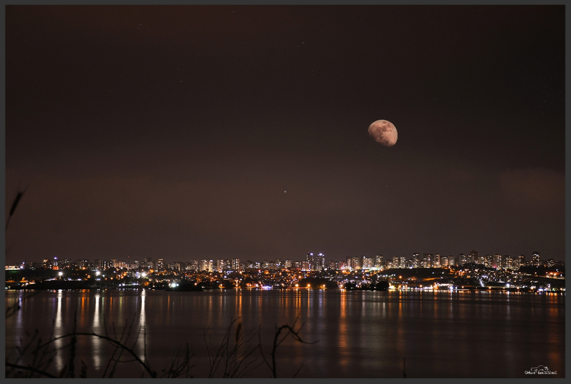City Lights