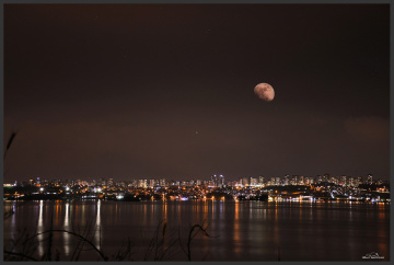 City Lights