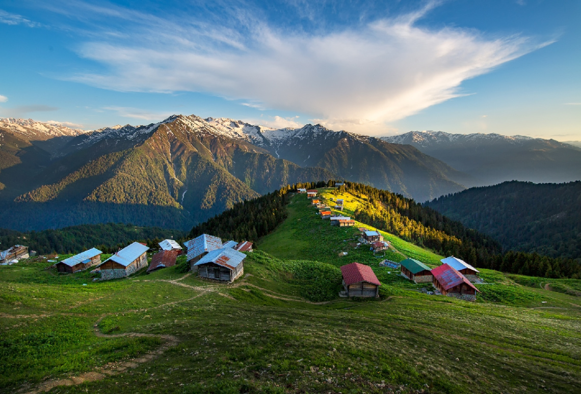 Bu akşam Pokut/Ç.HEMŞİN.
