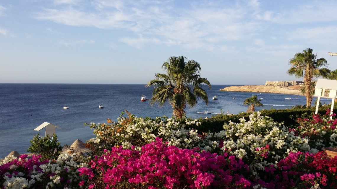 Egypt - Sharm Alsheikh