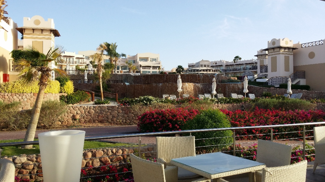 Egypt - Sharm Alsheikh