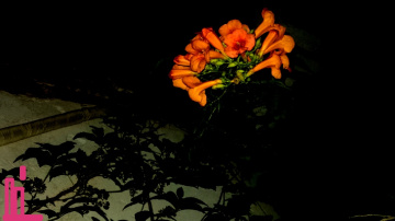 Glow..