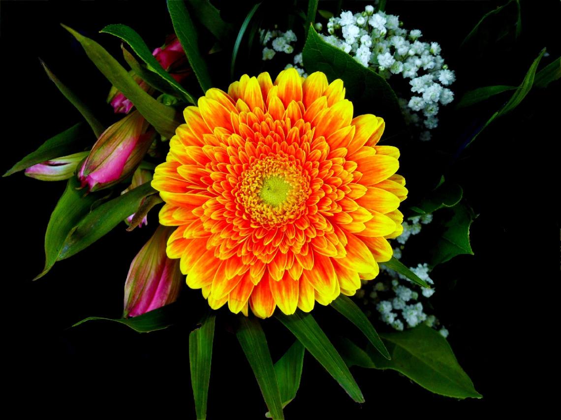 BLUMEN