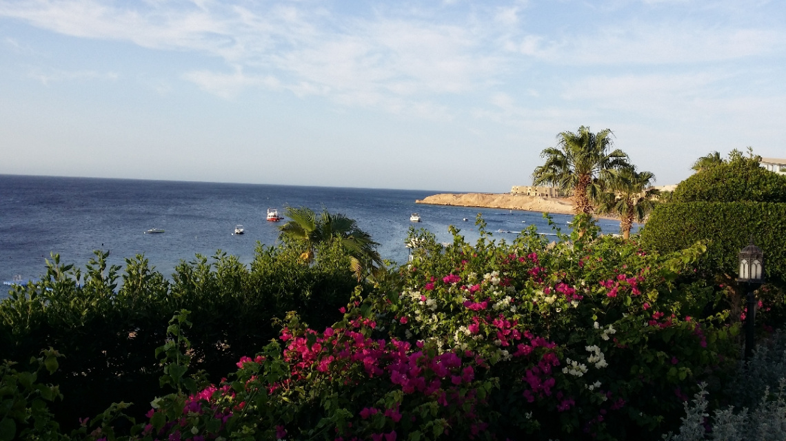 Egypt - Sharm Alsheikh