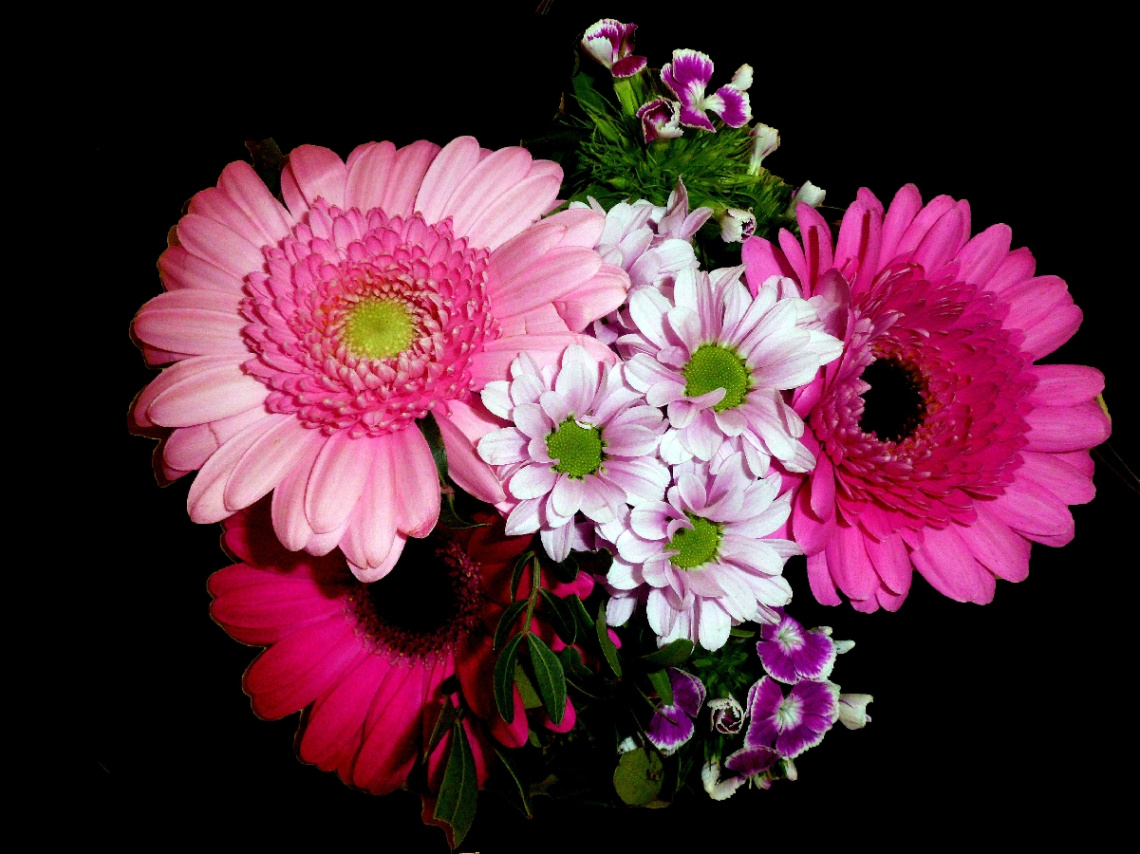 BLUMEN