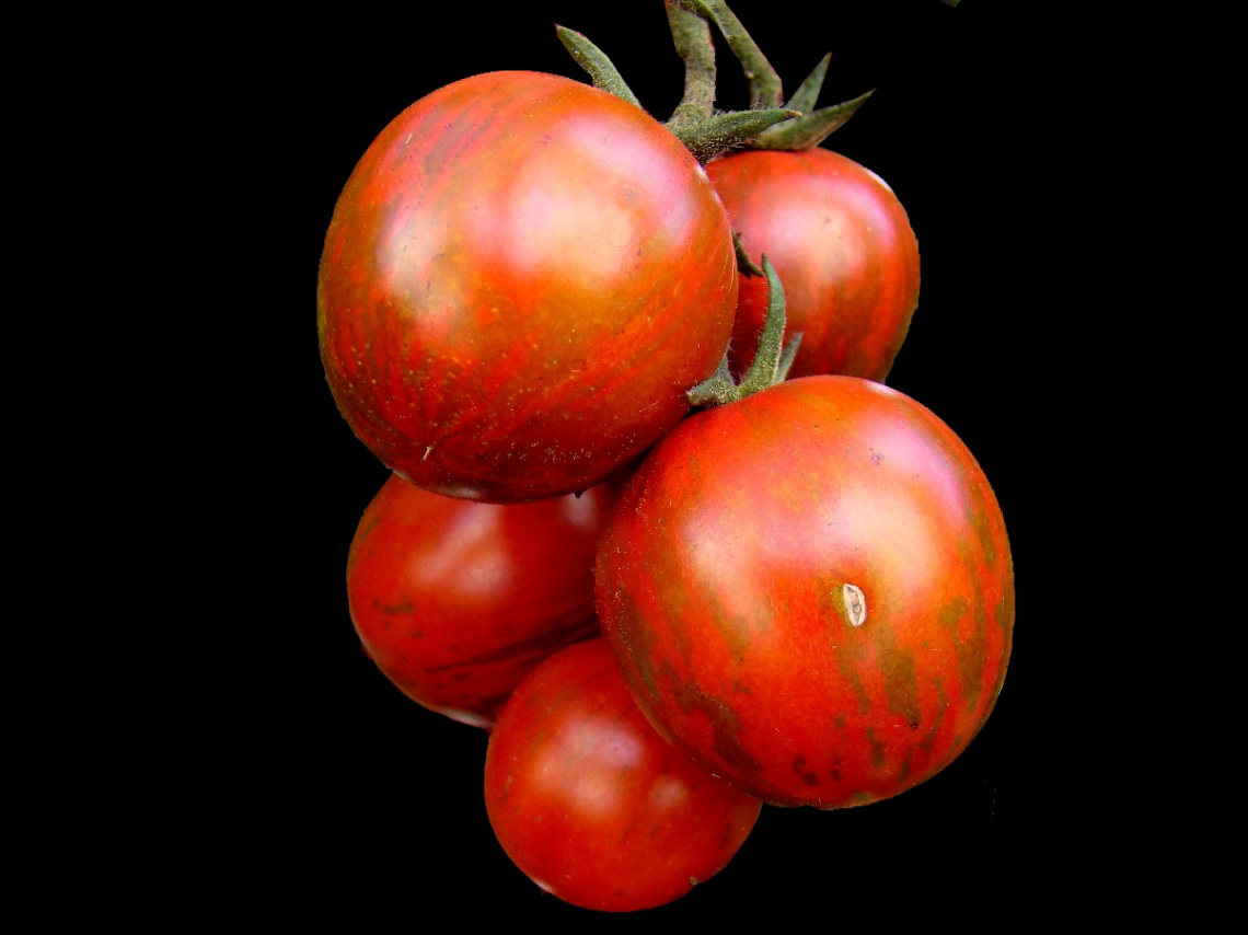TOMATEN