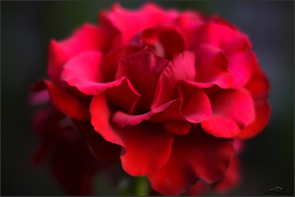 carmen