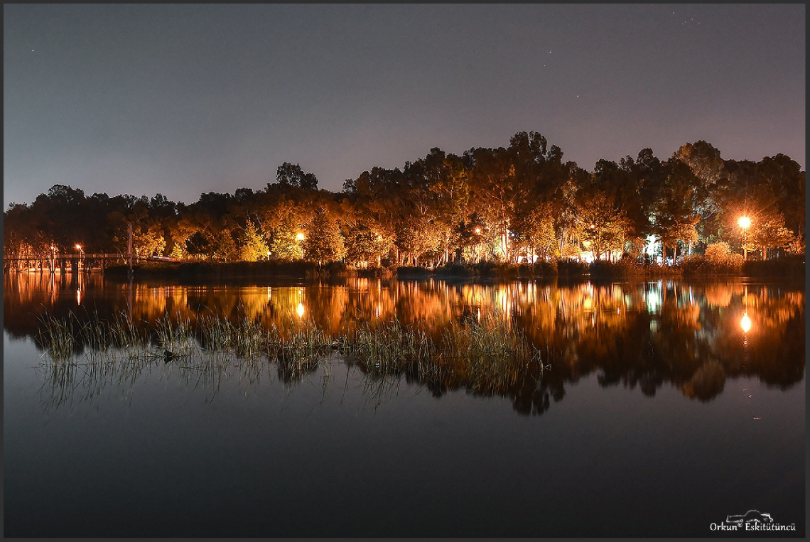 Night Colors