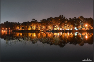 Night Colors