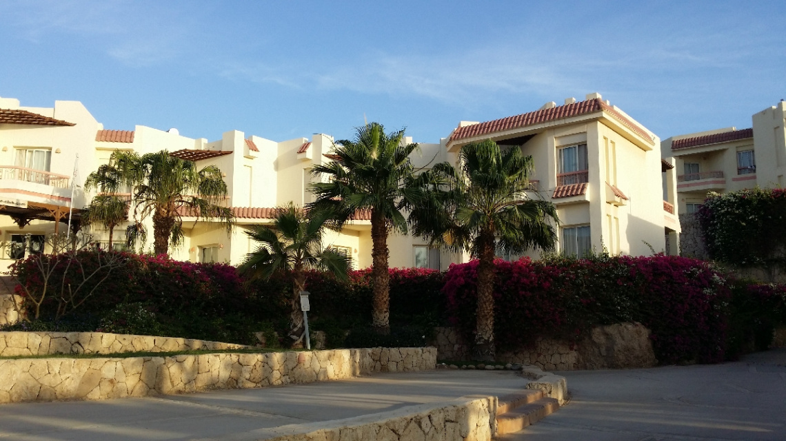 Egypt - Sharm Alsheikh