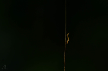 illuminated