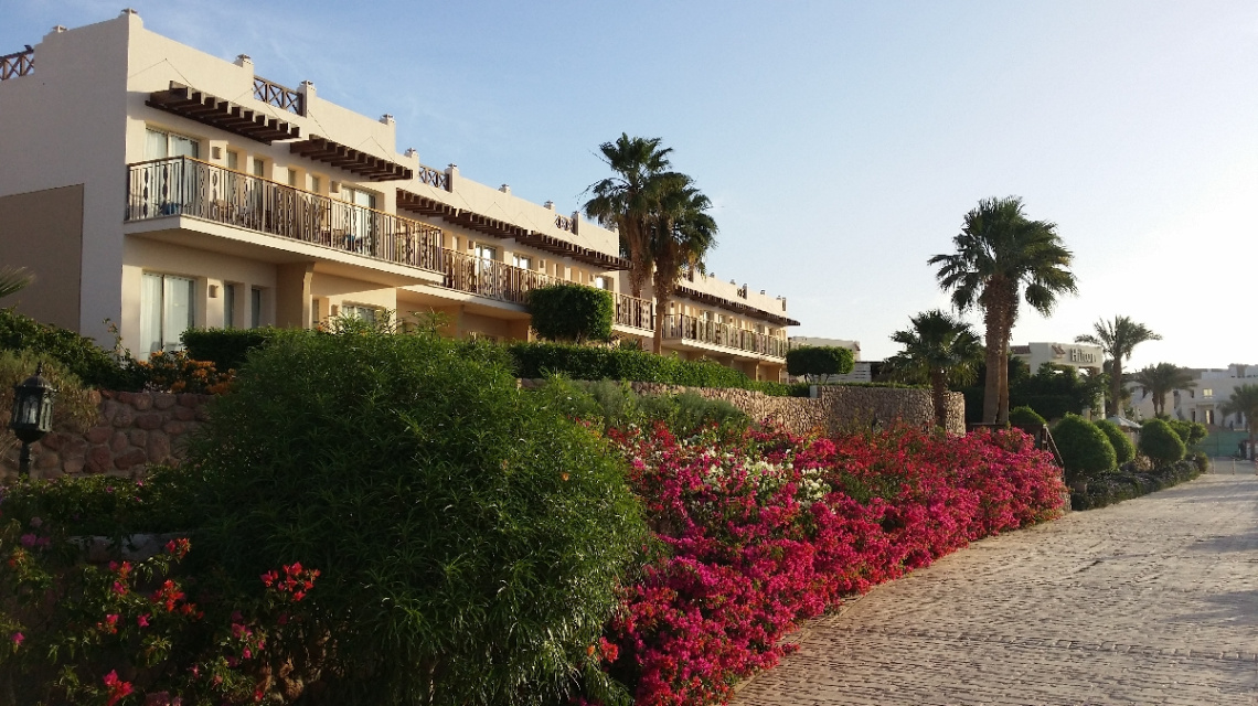 Egypt - Sharm Alsheikh