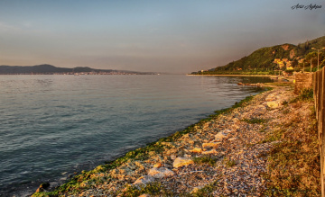 Ereğli Sahil / Karamürsel / Kocaeli 