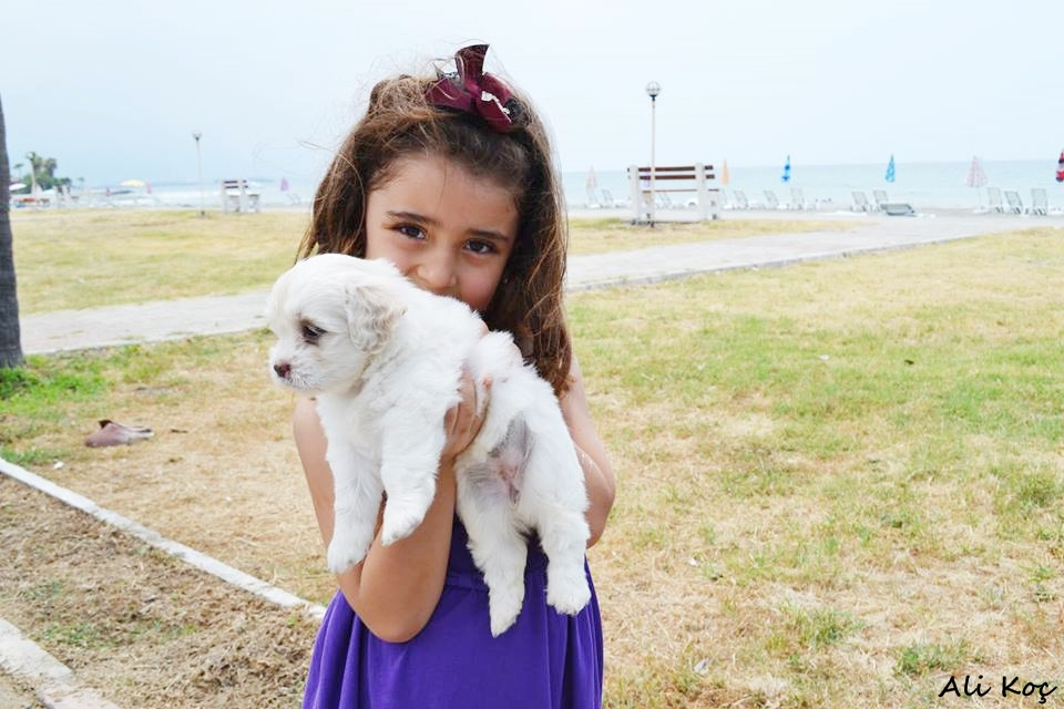 Küçük Köpecikle Sahilde
