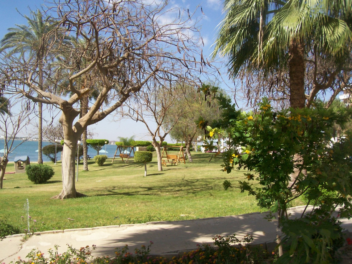 Egypt  - Ismaillia 