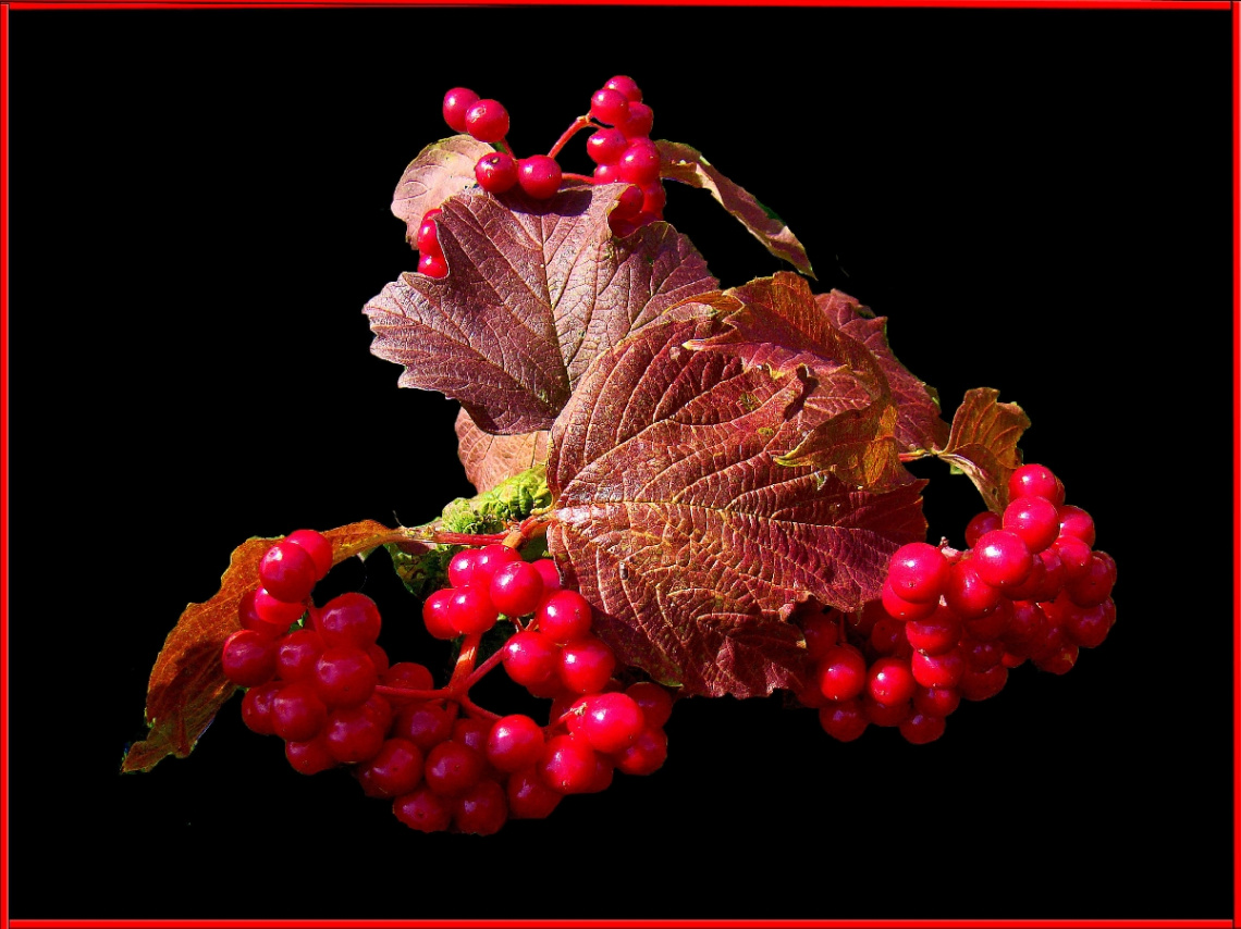 BEEREN