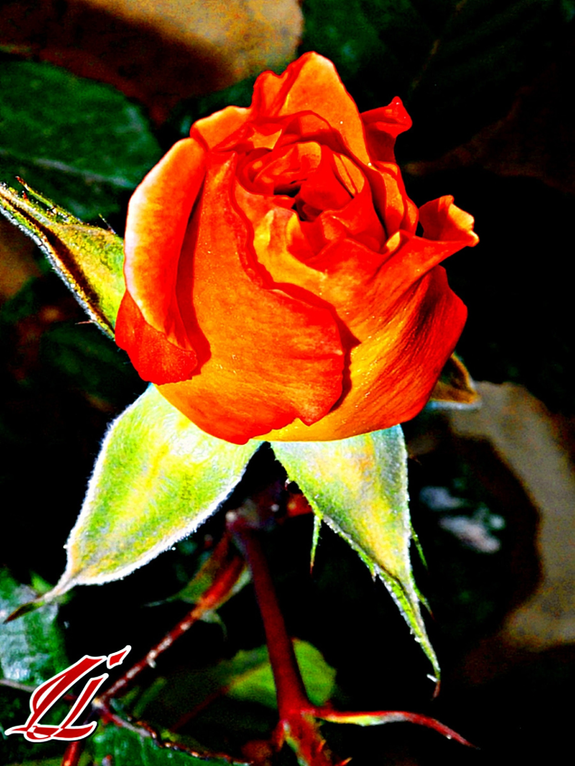 For You.....