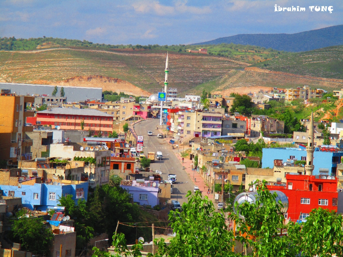 Renkli Hayat / SİİRT