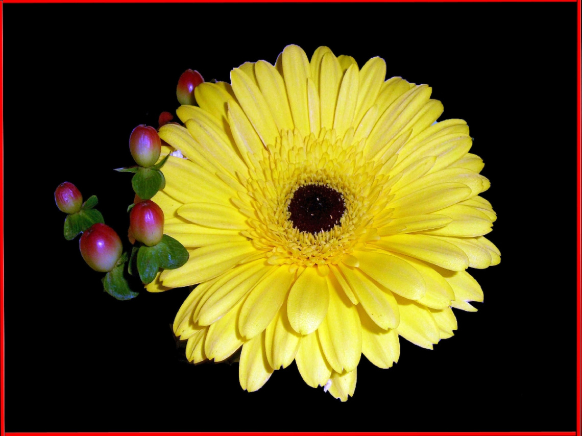 BLÜTE