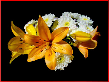 BLUMEN