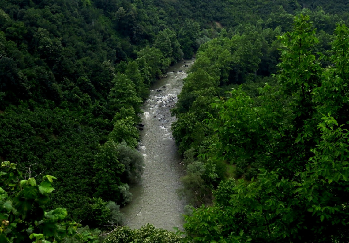 Melen Çayı,Dokuzdeğirmen Köyü-Düzce