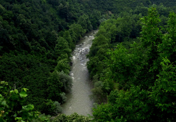 Melen Çayı,Dokuzdeğirmen Köyü-Düzce