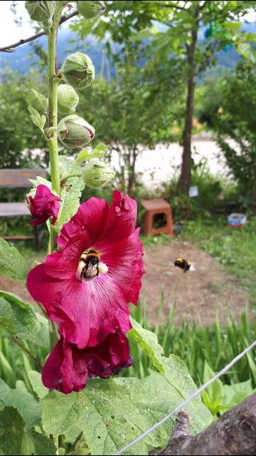 Umuda kanat çırpmak