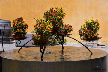 Modern ornamental pool