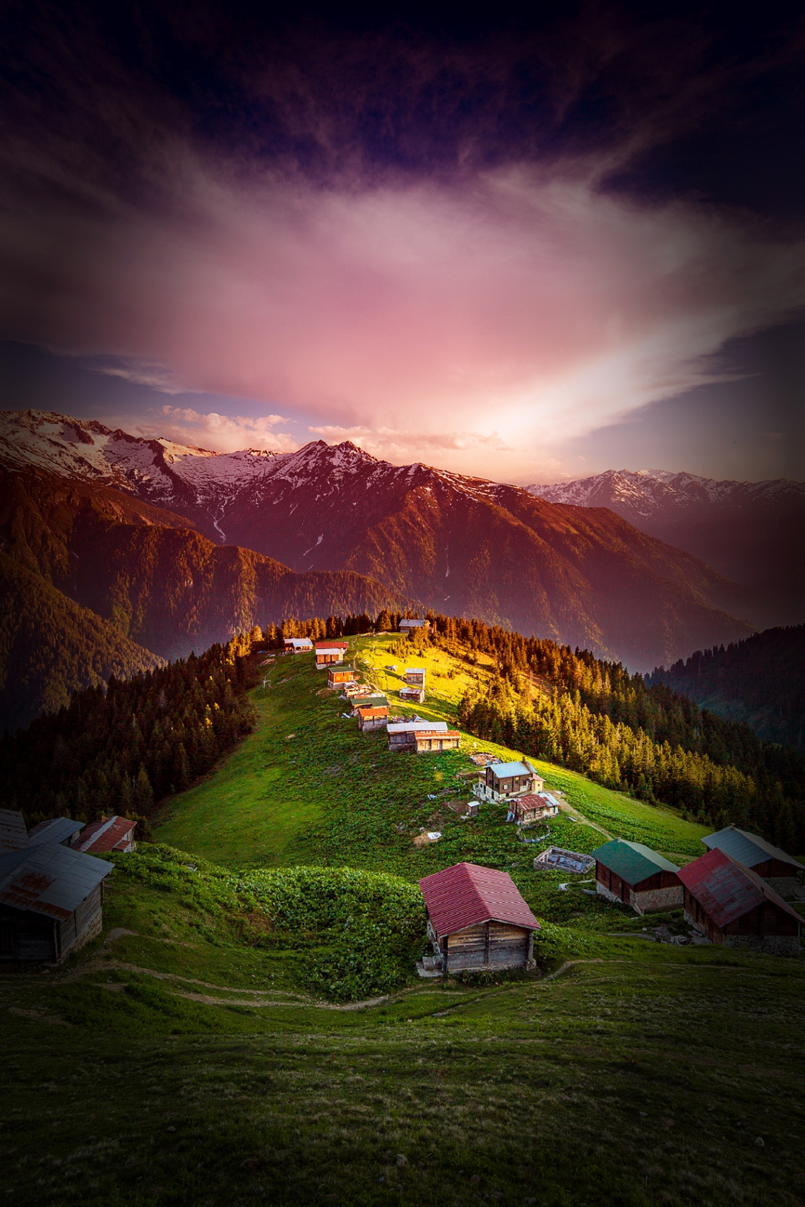 Pokut bir sevdadır.