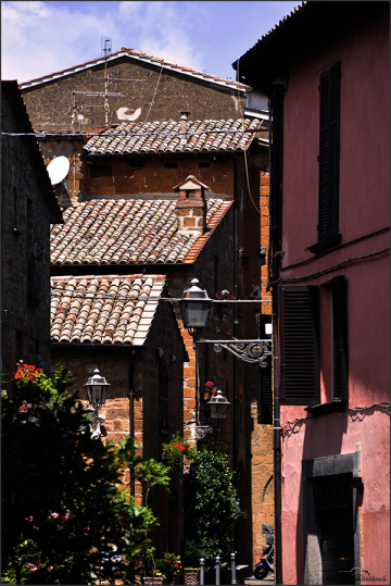 Street