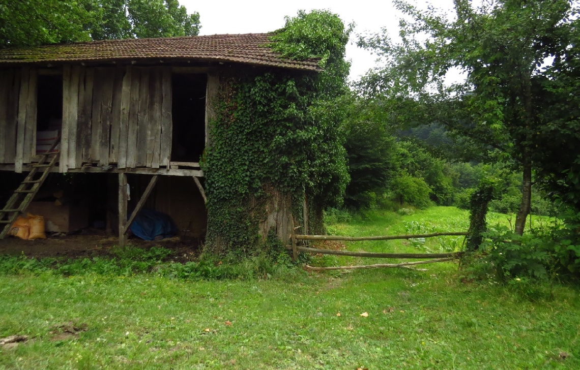Düzce-Dokuzdeğirmen