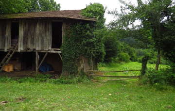 Düzce-Dokuzdeğirmen