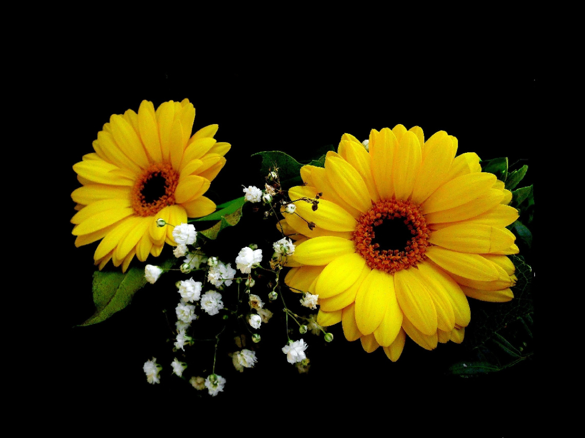 BLÜTEN
