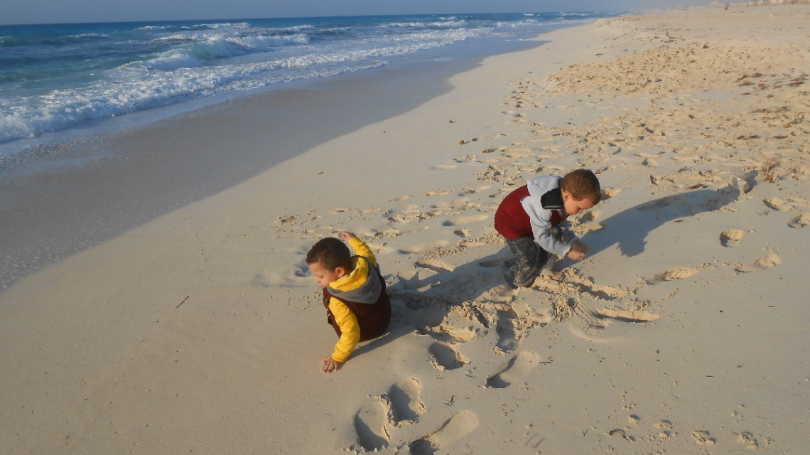 Egypt  - North Coast - grandsons 