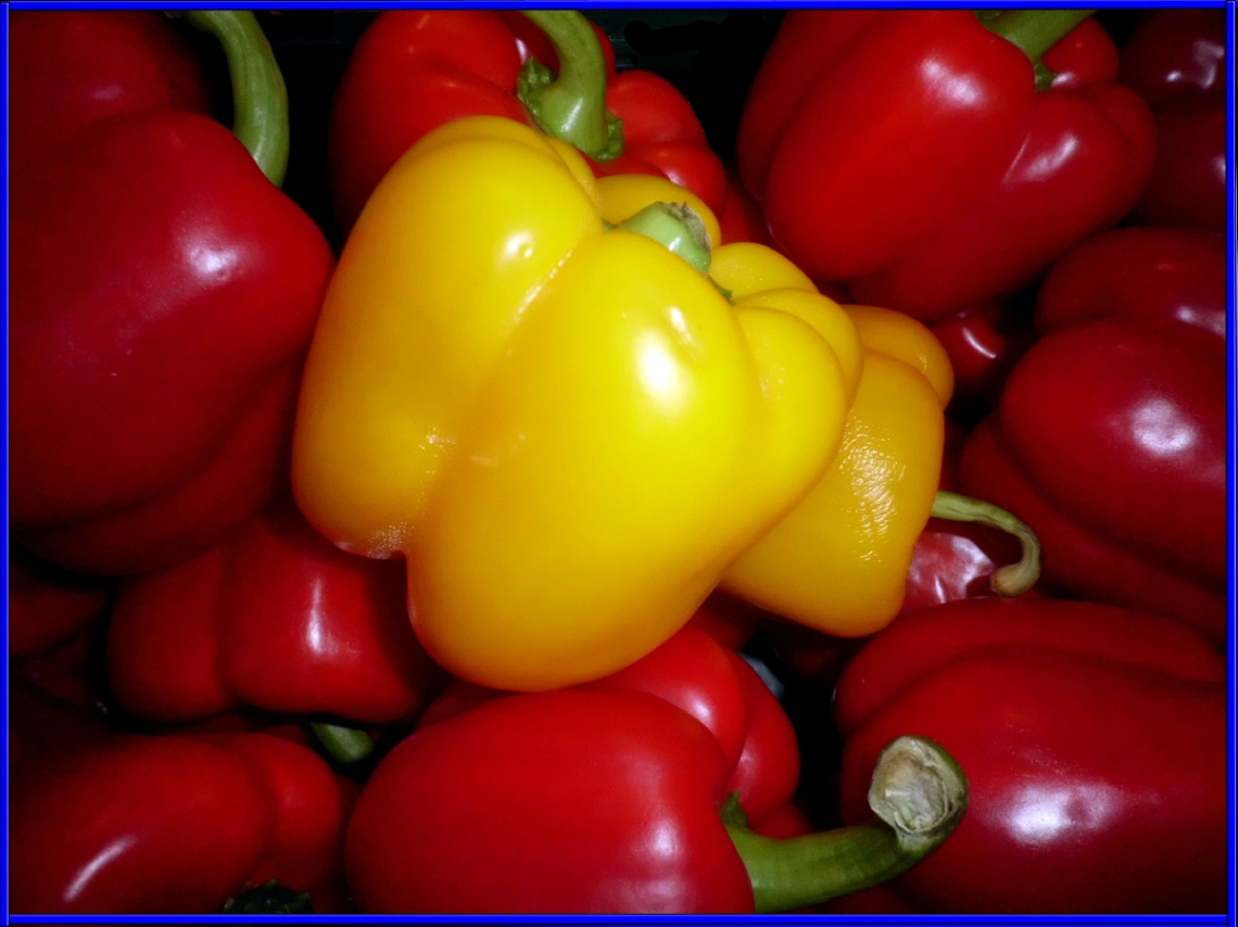 PAPRIKA