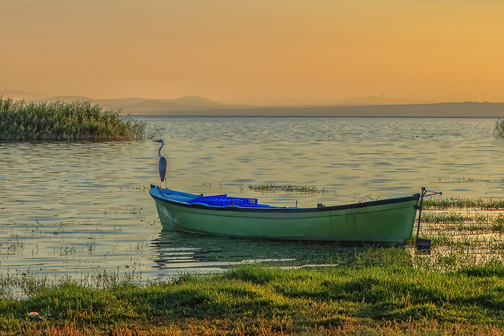 Kuş Cennetinden