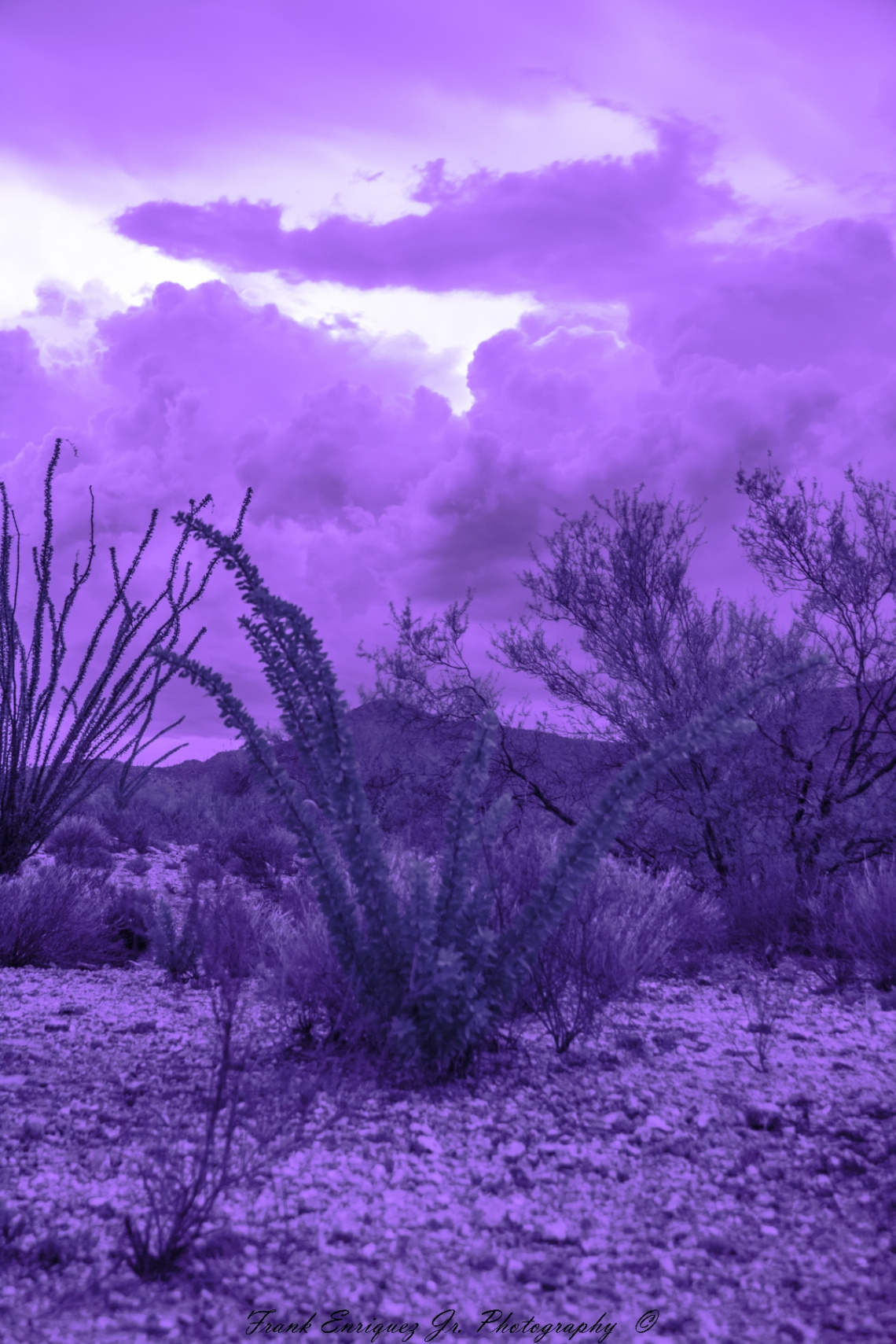 The InfraRed Storm