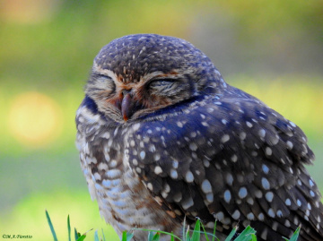 Sleep time...