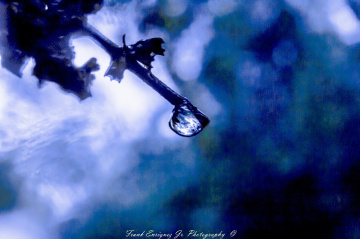 Raindrop
