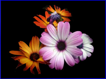 BLÜTEN