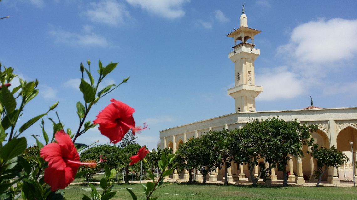 Egypt - North coast 