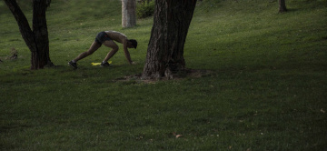 Spor