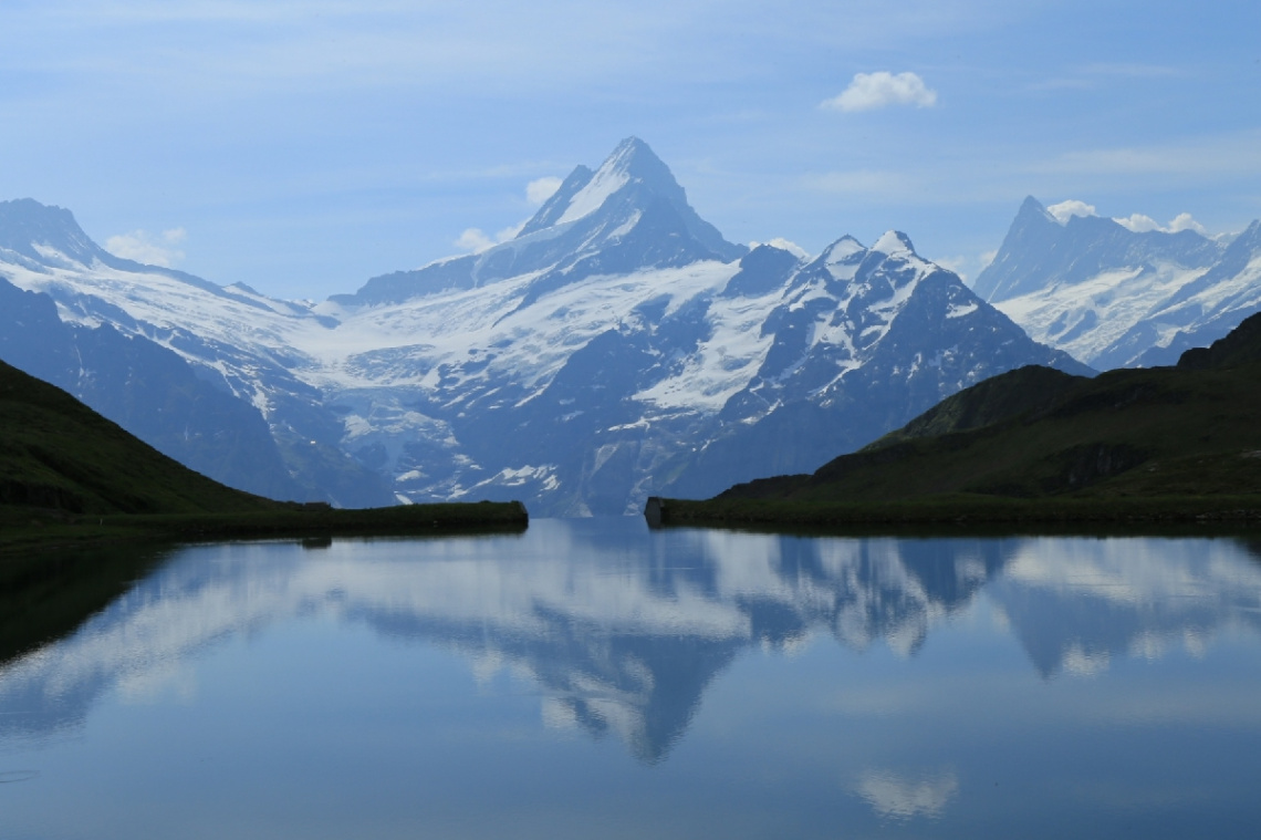 reflection