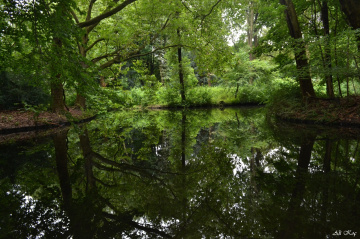 grün Garten