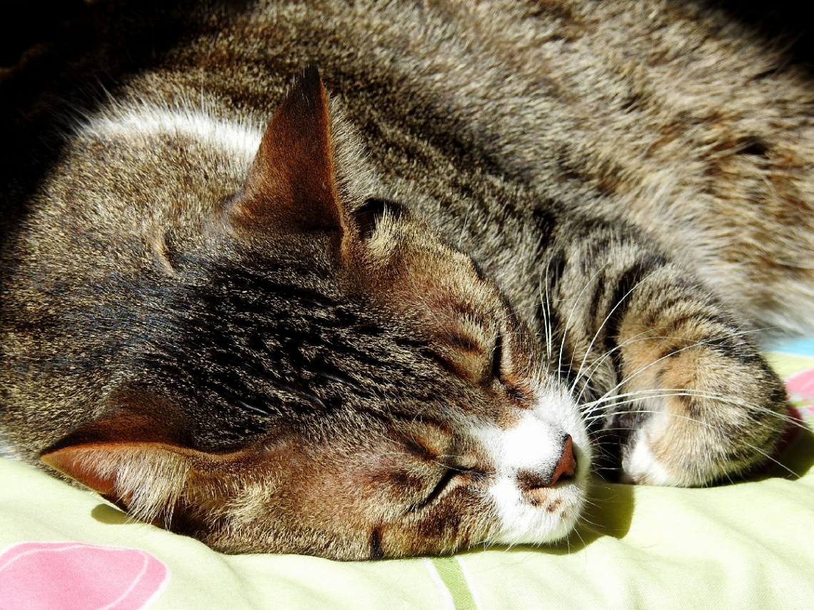 Good sleep...
